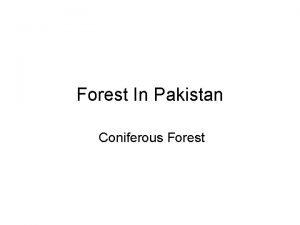 Coniferous forest location in pakistan