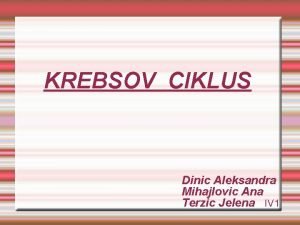 KREBSOV CIKLUS Dinic Aleksandra Mihajlovic Ana Terzic Jelena