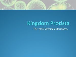 The most diverse kingdom