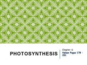 PHOTOSYNTHESIS Chapter 6 Nelson Pages 178 201 6