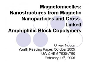 Magnetomicelles Nanostructures from Magnetic Nanoparticles and Cross Linked