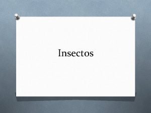 Insectos Introduccin La palabra insecta viene del latn