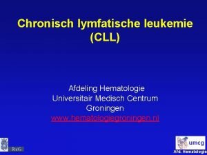 Chronisch lymfatische leukemie CLL Afdeling Hematologie Universitair Medisch