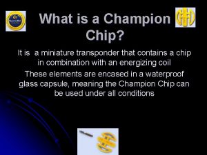 Champion chip