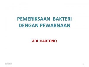 PEMERIKSAAN BAKTERI DENGAN PEWARNAAN ADI HARTONO 1062008 1