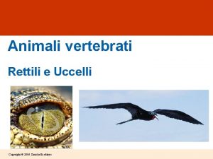 Animali vertebrati Rettili e Uccelli Copyright 2006 Zanichelli