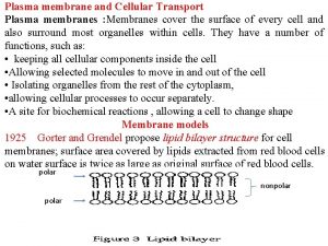 Plasma membrane and Cellular Transport Plasma membranes Membranes