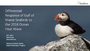 Differential Response of Gulf of Maine Seabirds to