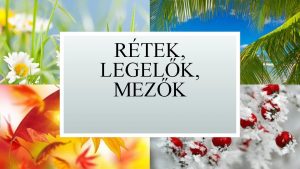 RTEK LEGELK MEZK RTEK Haznkban nagy kiterjeds rtek