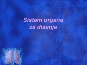 Sistem organa za disanje