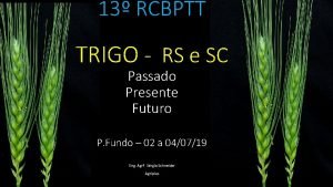 13 RCBPTT TRIGO RS e SC Passado Presente