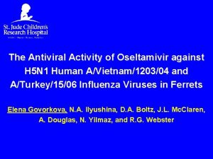 The Antiviral Activity of Oseltamivir against H 5