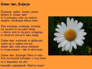 Perkujtime per te vdekurit