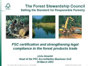 The Forest Stewardship Council Setting the Standard for