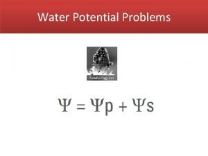 Water Potential Problems Water Potential Water potential of Water Potential Problems Water Potential Water potential of