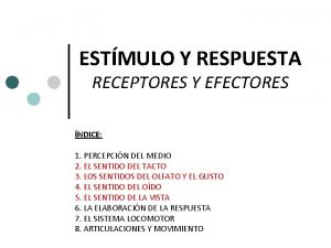 ESTMULO Y RESPUESTA RECEPTORES Y EFECTORES NDICE 1