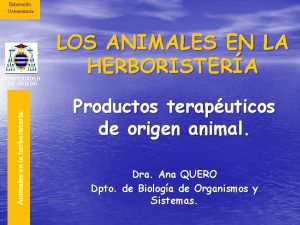 Extensin Universitaria Animales en la herboristera UNIVERSIDAD DE