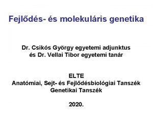 Fejlds s molekulris genetika Dr Csiks Gyrgy egyetemi
