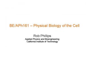 BEAPh 161 Physical Biology of the Cell Rob