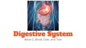 Main functions of the digestive system