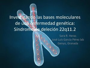 Investigando las bases moleculares de una enfermedad gentica