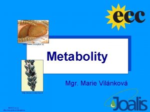 http www ireceptar cz Metabolity Mgr Marie Vilnkov