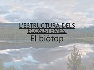 LESTRUCTURA DELS ECOSISTEMES El bitop 1 Introducci Els