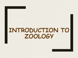 Introduction to zoology