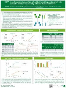 TM RUBY A novel recombinant universal bispecific antibody