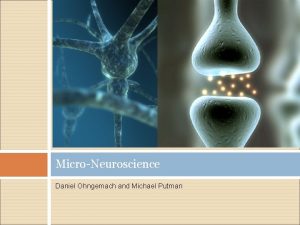 MicroNeuroscience Daniel Ohngemach and Michael Putman Neurons and