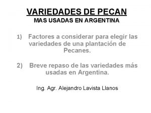 VARIEDADES DE PECAN MAS USADAS EN ARGENTINA 1