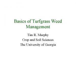 Basics of Turfgrass Weed Management Tim R Murphy