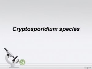 Cryptosporidium species Classification Phylum Apicomplexa Class Sporozoea Subclass