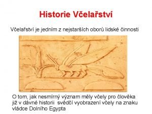 Historie Velastv je jednm z nejstarch obor lidsk