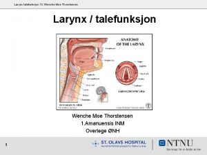 Larynx talefunksjon 1 C Wenche Moe Thorstensen Larynx