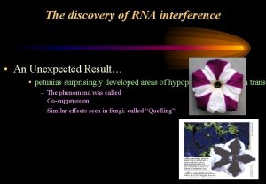 The discovery of RNA interference An Unexpected Result