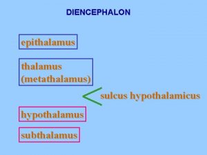 Metathalamus