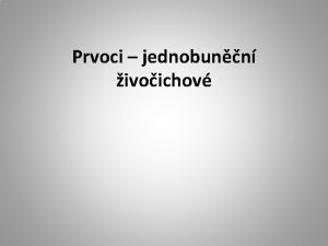 Prvoci jednobunn ivoichov Charakteristika Jednobunn ivoichov ij ve
