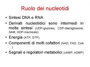 Ruolo dei nucleotidi Sintesi DNA e RNA Derivati