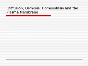 Diffusion Osmosis Homeostasis and the Plasma Membrane Maintaining