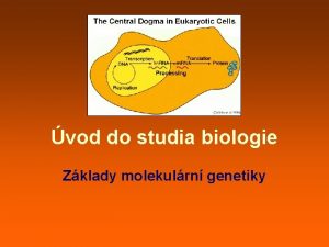 vod do studia biologie Zklady molekulrn genetiky Molekulrn
