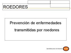 ROEDORES Prevencin de enfermedades transmitidas por roedores Rattus