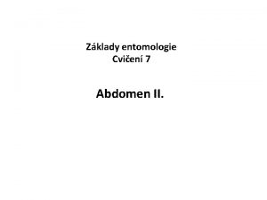 Zklady entomologie Cvien 7 Abdomen II Terminalia Idealizovan