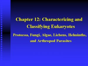 Chapter 12 Characterizing and Classifying Eukaryotes Protozoa Fungi