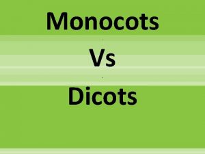 Monocots vs dicots