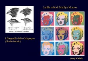 I mille volti di Marilyn Monroe I fringuelli