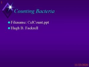 Bacterial filters ppt