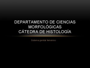 DEPARTAMENTO DE CIENCIAS MORFOLGICAS CTEDRA DE HISTOLOGA Sistema