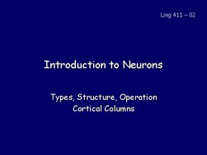 Cortical column