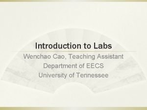 Introduction to Labs Wenchao Cao Teaching Assistant Department